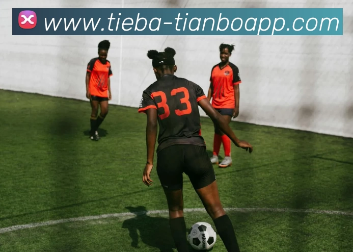 登录器